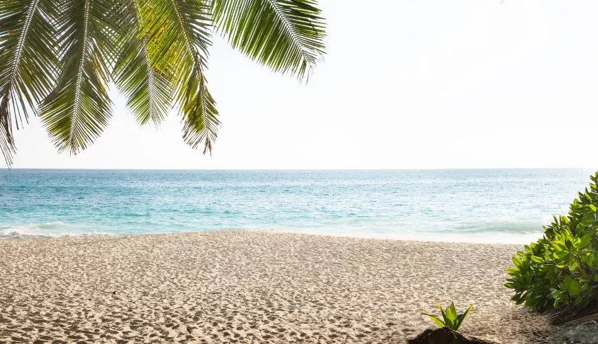 Anse Intendance, Mahé