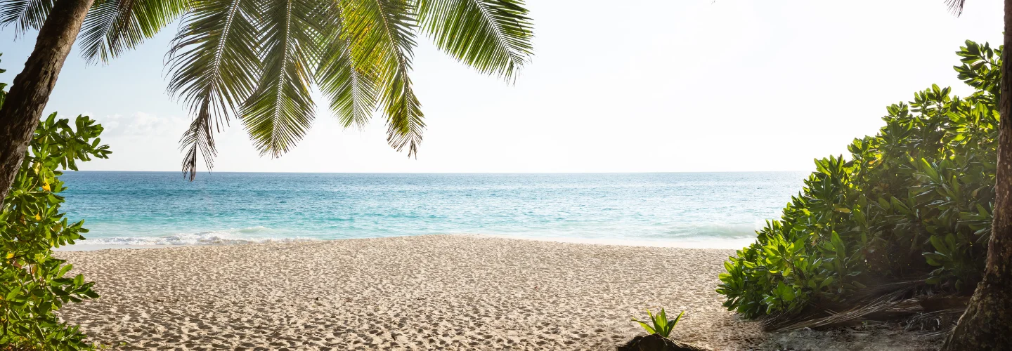 Anse Intendance, Mahé