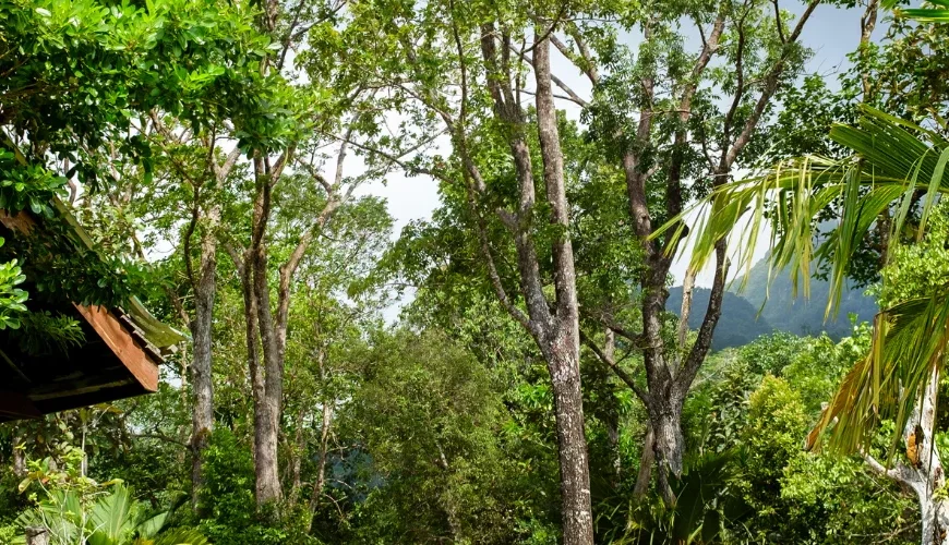 Morne Seychellois National Park