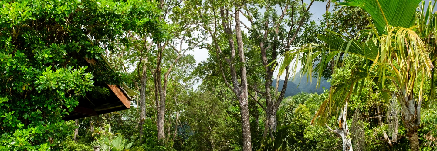 Morne Seychellois National Park