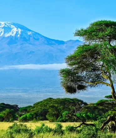 Mount Kilimanjaro