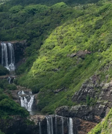 Tamarind-Waterfall