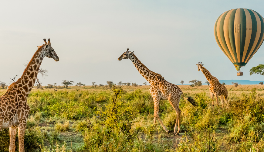 Cheapest Holidays Worldwide